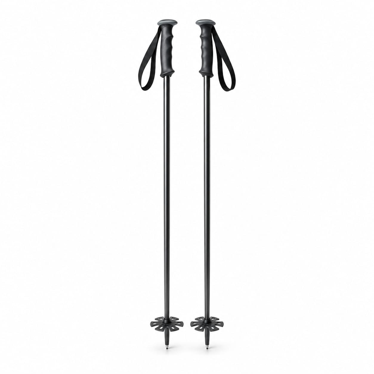 Alpine Ski Poles