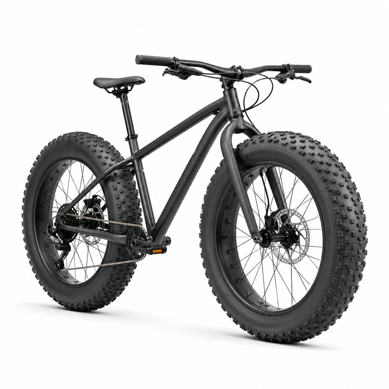Fat Bike
