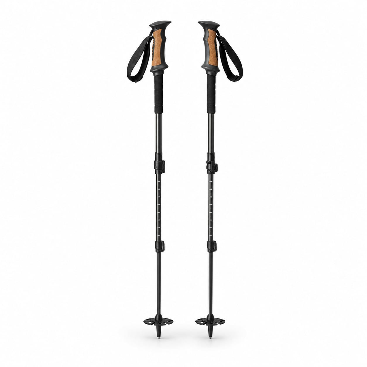 Telemark Ski Poles